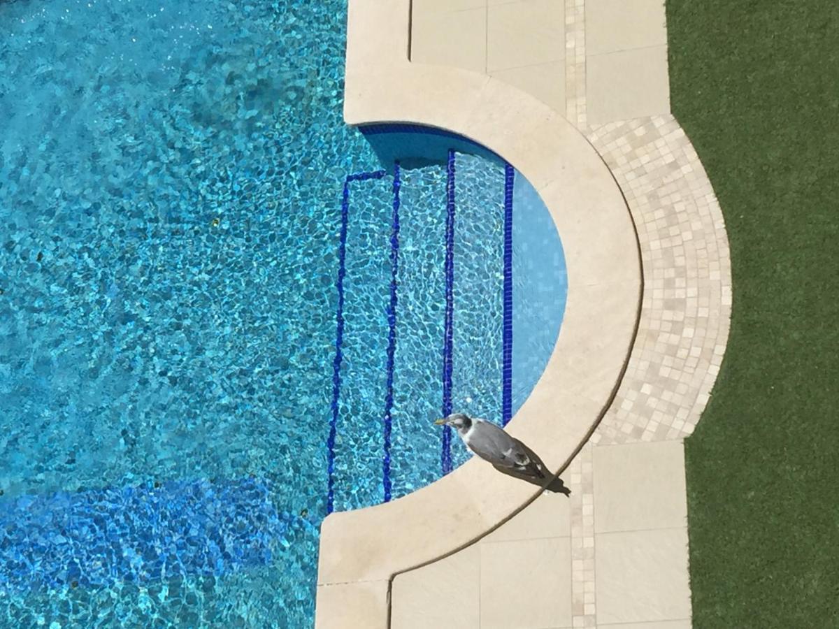 3 Min Walking To Peneco Beach Albufeira At Sol A Sul Apartments Εξωτερικό φωτογραφία